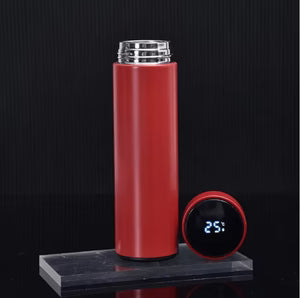 Smart LED Temperature Display Bottle